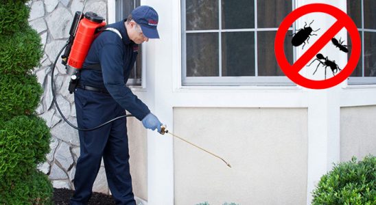 Diyarbakır Karınca İlaçlama böcek ilaçlama ve haşere kontrolü — ilaclama-tr.com